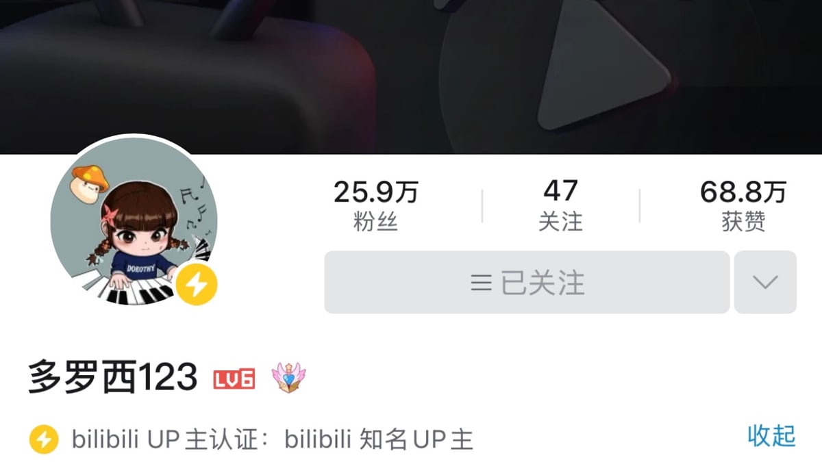多罗西123 哔哩哔哩主页截图风格封面